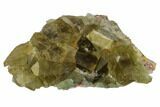 Yellow-Green, Cubic Fluorite Crystal Cluster - Morocco #164552-1